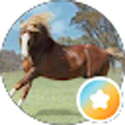 Profile photo of Irma A Leiva
