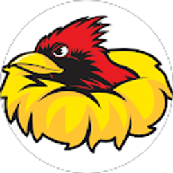 Profile photo of The Bird Nest