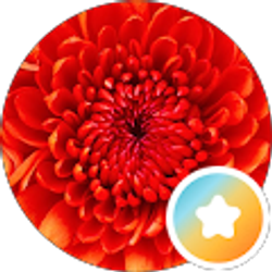 Profile photo of Sonya Thomas