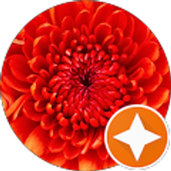 Profile photo of Sonya Thomas