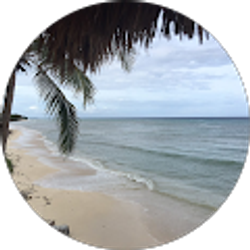 Profile photo of Mike Mendez