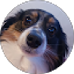 Profile photo of sheng Vang