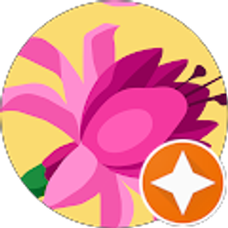 Profile photo of Steph J