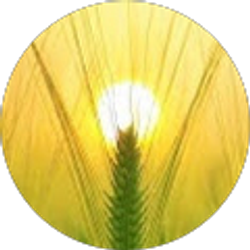 Profile photo of Stacia Roberts