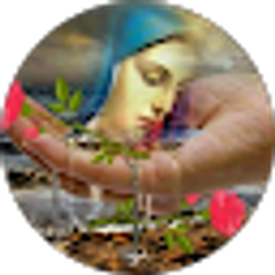 Profile photo of Rosalva Molina