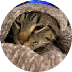 Profile photo of Lauren Martinovich