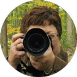 Profile photo of Beth Elliott