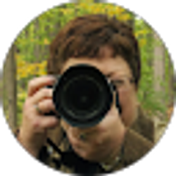 Profile photo of Beth Elliott