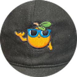 Profile photo of John Chipman