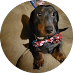 Profile photo of Sandra Derby