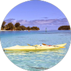 Profile photo of Shawn Mason