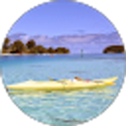 Profile photo of Shawn Mason