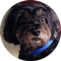 Profile photo of Deborah Newcomb