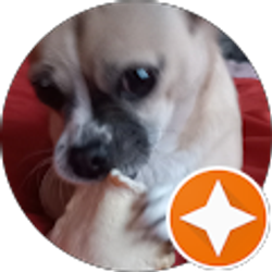 Profile photo of littleboy