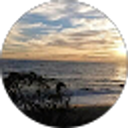 Profile photo of Annette Guzman