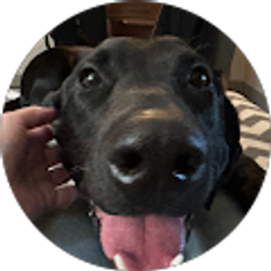 Profile photo of Julie Hatch