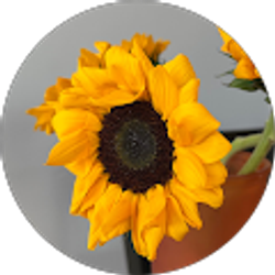 Profile photo of Eling Castillo