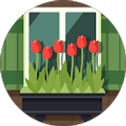 Profile photo of Kenneth Shim