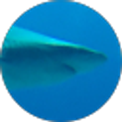 Profile photo of Elijah Coles-Brown