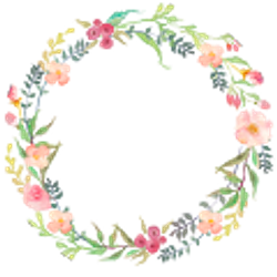 Profile photo of Karen Seel