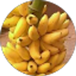 Profile photo of Chris Africana