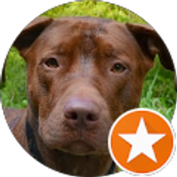 Profile photo of Ryan Calogero