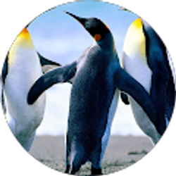 Profile photo of Yajaira Andrade