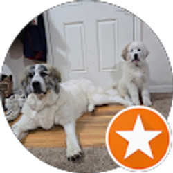 Profile photo of Jason Davis