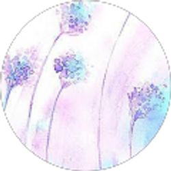 Profile photo of Grace Barnhart