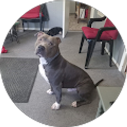 Profile photo of Marsha Skeen