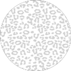 Profile photo of Mia Galo