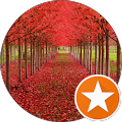 Profile photo of Cheryl N