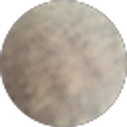 Profile photo of k am