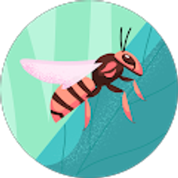 Profile photo of Robert S