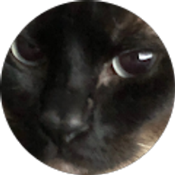 Profile photo of Allan Nunez