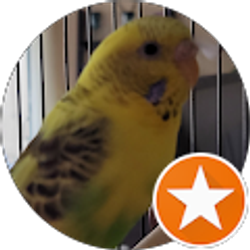 Profile photo of Deborah Shane