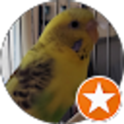 Profile photo of Deborah Shane