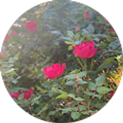 Profile photo of T. C.