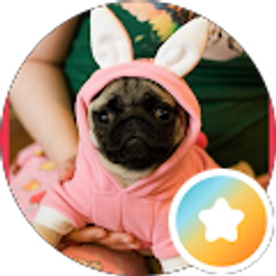 Profile photo of candy setzer