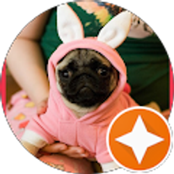 Profile photo of candy setzer