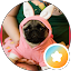 Profile photo of candy setzer