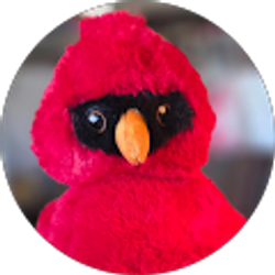 Profile photo of Donna Moore