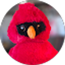 Profile photo of Donna Moore