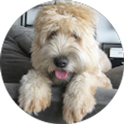 Profile photo of Michael Lacey