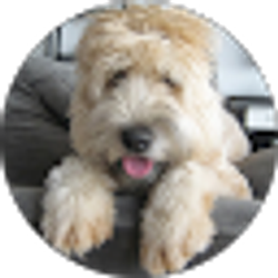 Profile photo of Michael Lacey