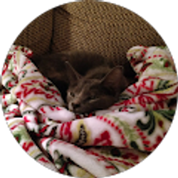 Profile photo of Nathan Ujda