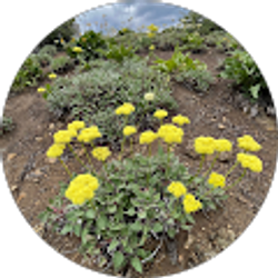 Profile photo of Kathleen H