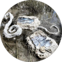 Profile photo of Marii