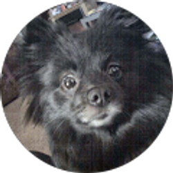 Profile photo of Lisa Cox