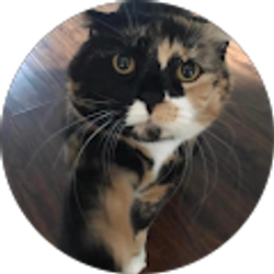 Profile photo of Kelly